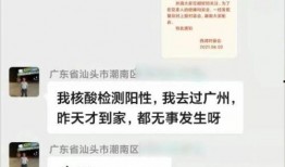 湛江微信群爆料事件最新,揭秘背后真相与影响
